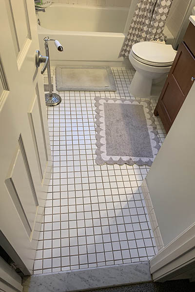 Bathroom Remodel (Before) (3)